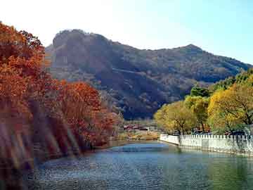 日韩情感在线，两生花小说