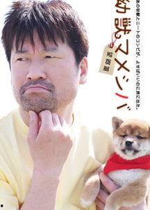 豆柴小犬 望乡篇,望乡之旅，追寻失落的家园