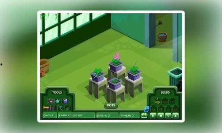 新世界1：赞德拉